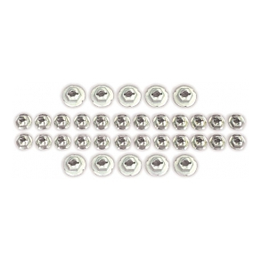 Corvette Body Speed Nut Kit 1969