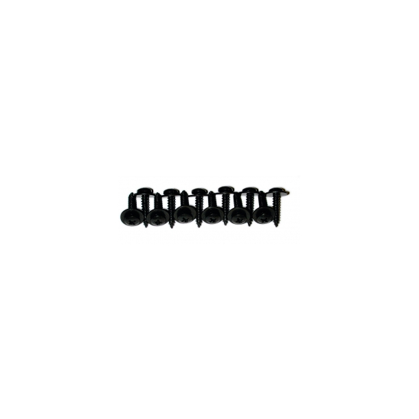 Grille Screws, Front, 1968-1969 Corvette