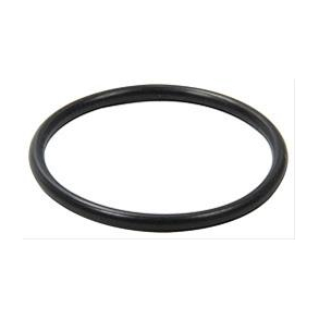 Chevrolet Alu WaterNeck replacement O-Ring