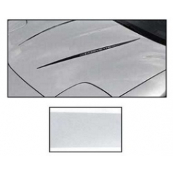 Corvette Hood Decal Kit With Word Corvette 1997-2004 