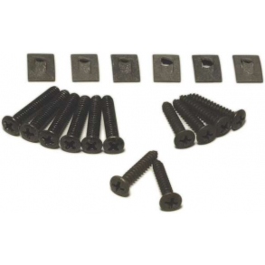 Corvette Rocker Panel Molding Screw Kit.